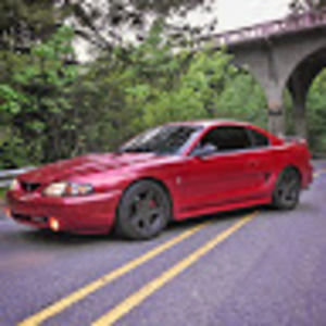 Meet your Posher, Julia